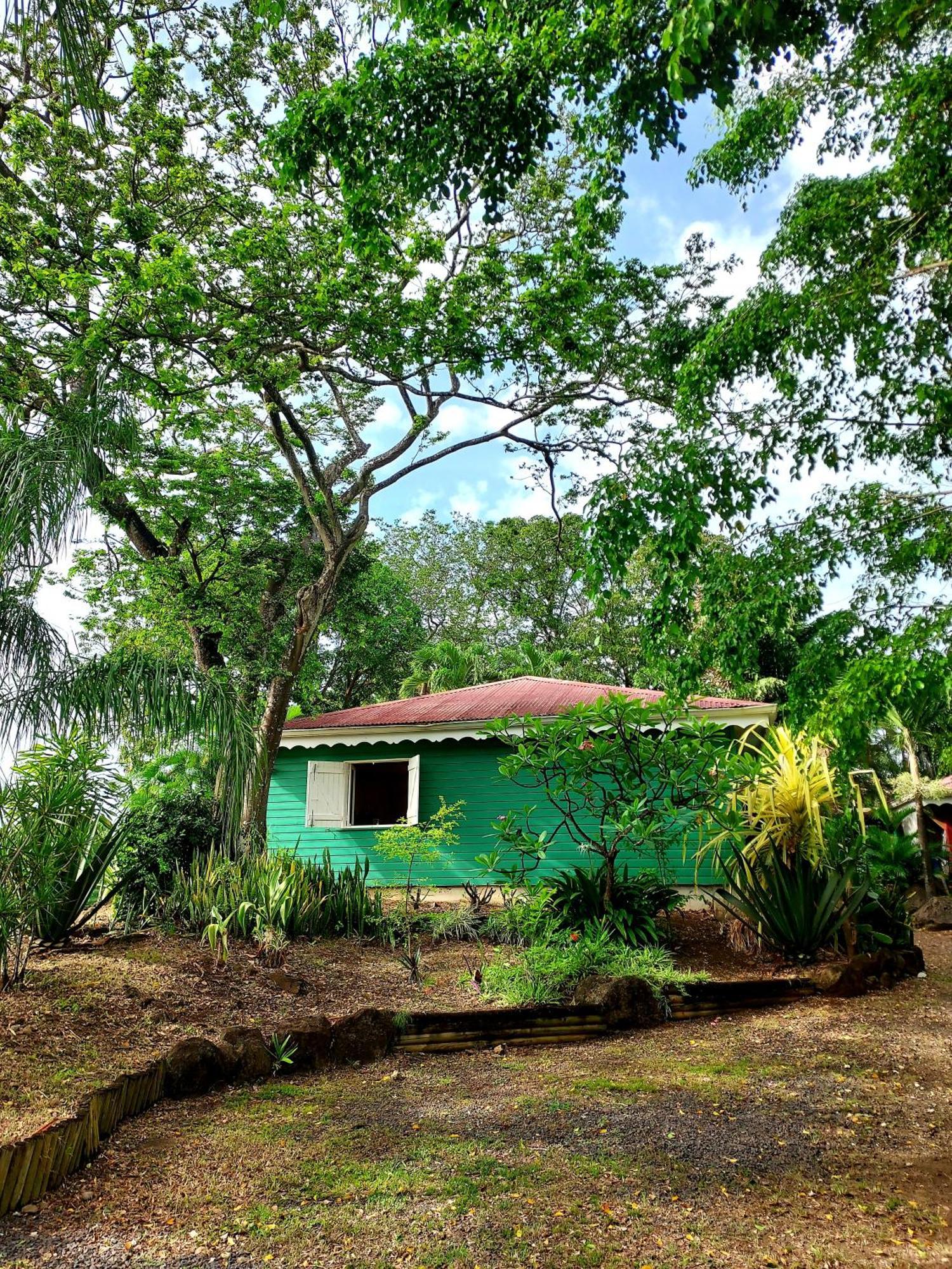 Bungalow Du Jardin Botanique De Deshaies Camera foto